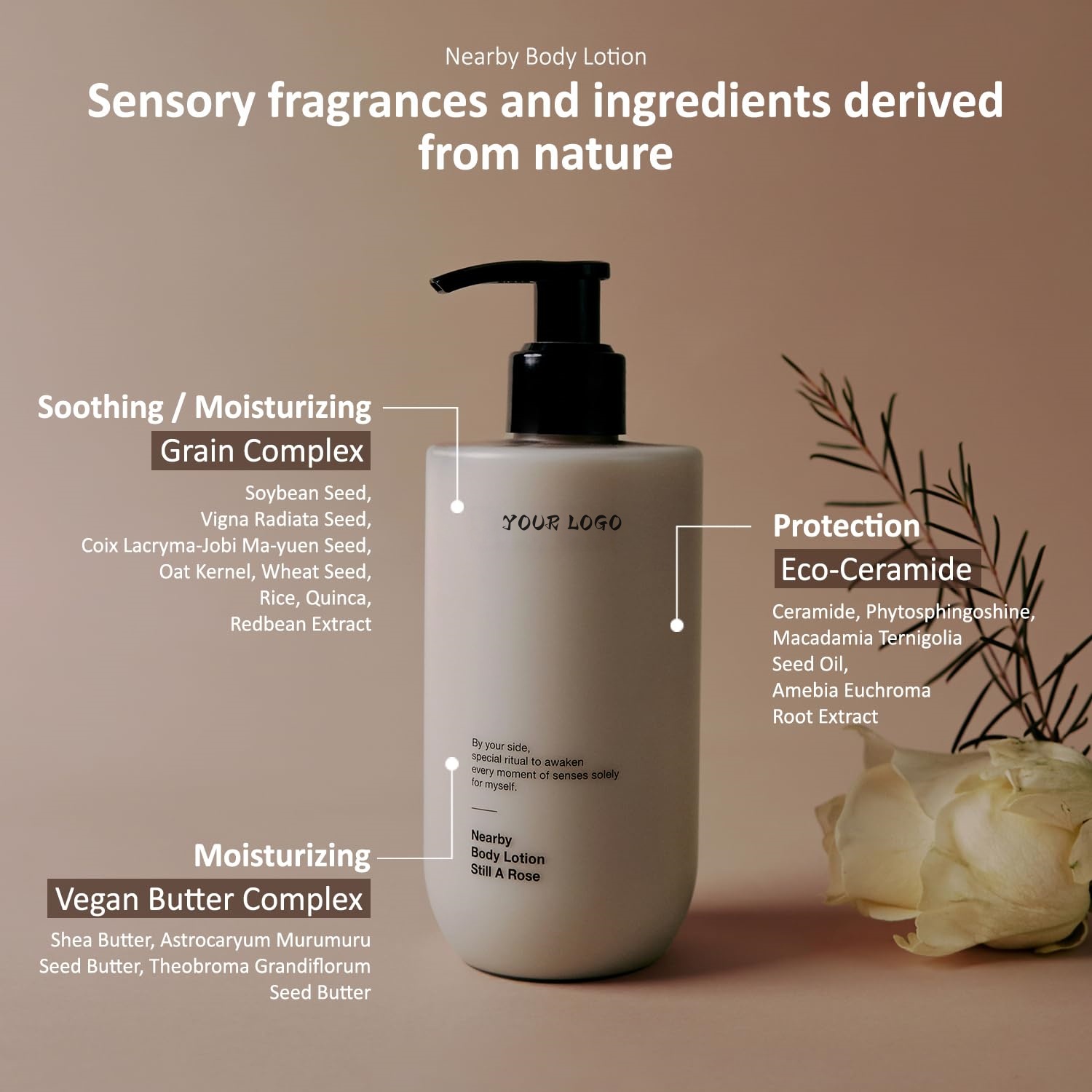 Desert Wood Vegan Body Lotion 10.1 Oz Zero-irritation Eco-ceramide Formula Brightening Cherry Blossom Scent Recyclable Packaging