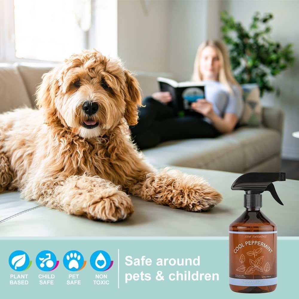 Oem Private Label Eco-friendly Natural Aromatherapy Peaceful Quiet Room Mist Pillow Sleep Spray Cool Peppermint Air Freshener