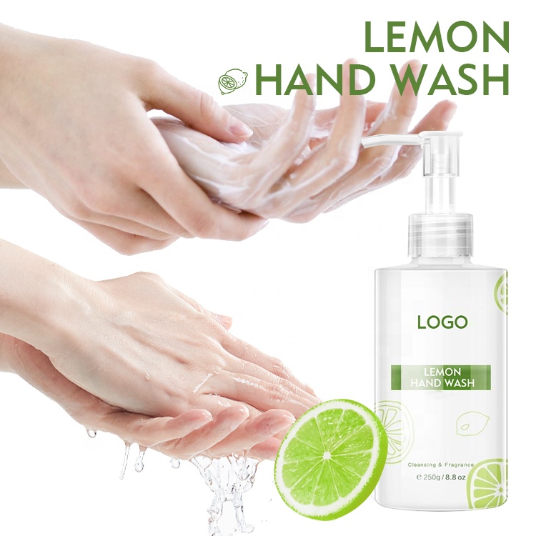 Private Label Cleansing Foaming Cool Natural Origin Aloe Hand Wash