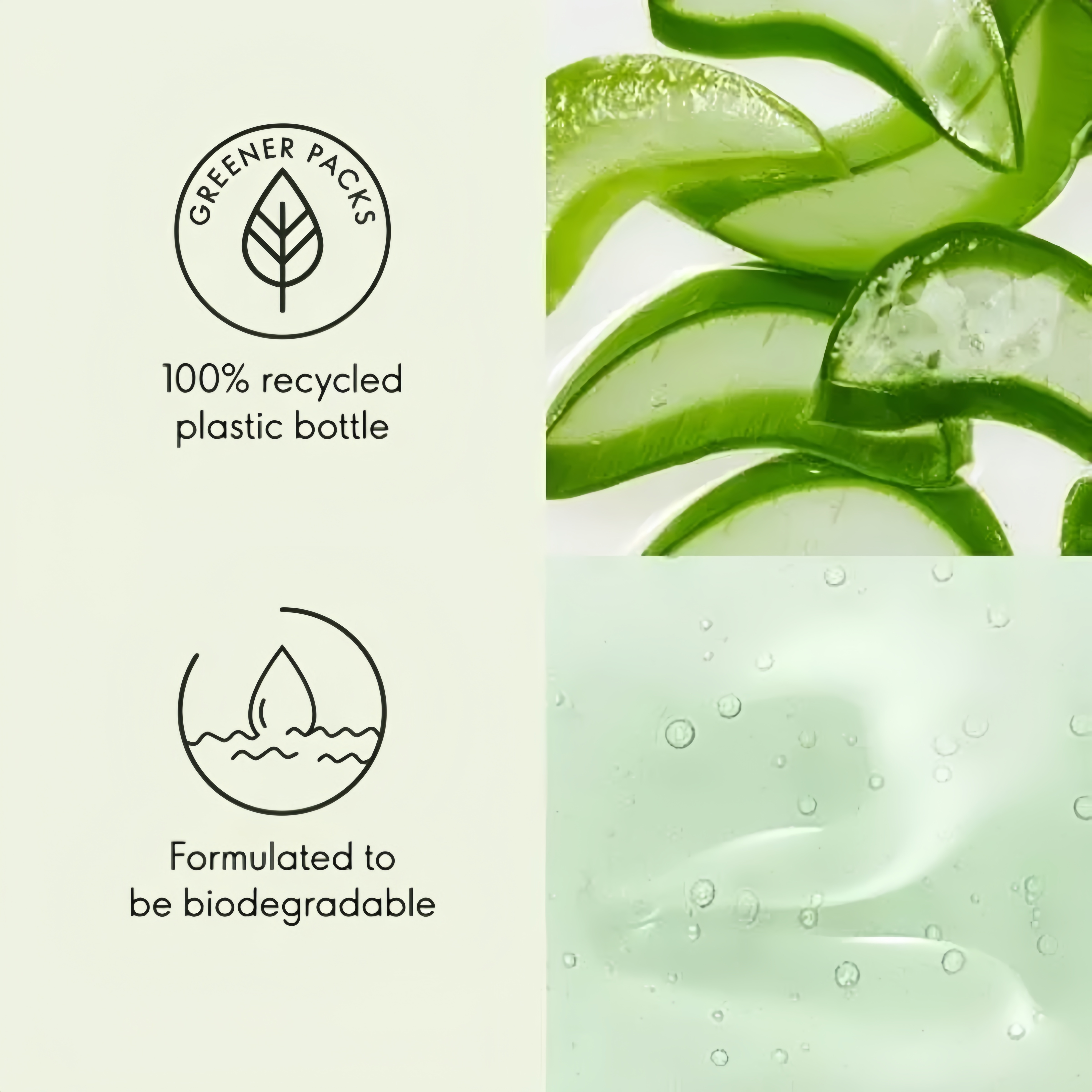 Private Label Moisturizing Whitening Natural Fresh Green Tea And Cucumber 500ml Summer Tropical Theme Body Wash Shower Gel Cream