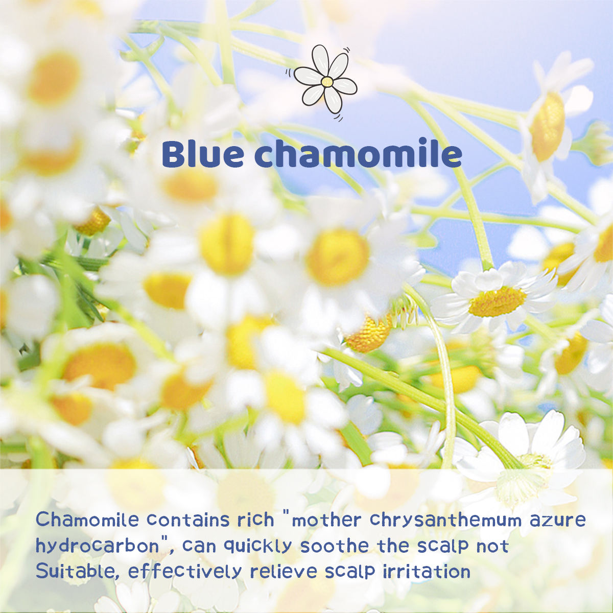 Children's Herbal Essence Amino Acid Untwist Non Toxic Ingredients Clean,Mild And Sensitive Skin Chamomile Shampoo