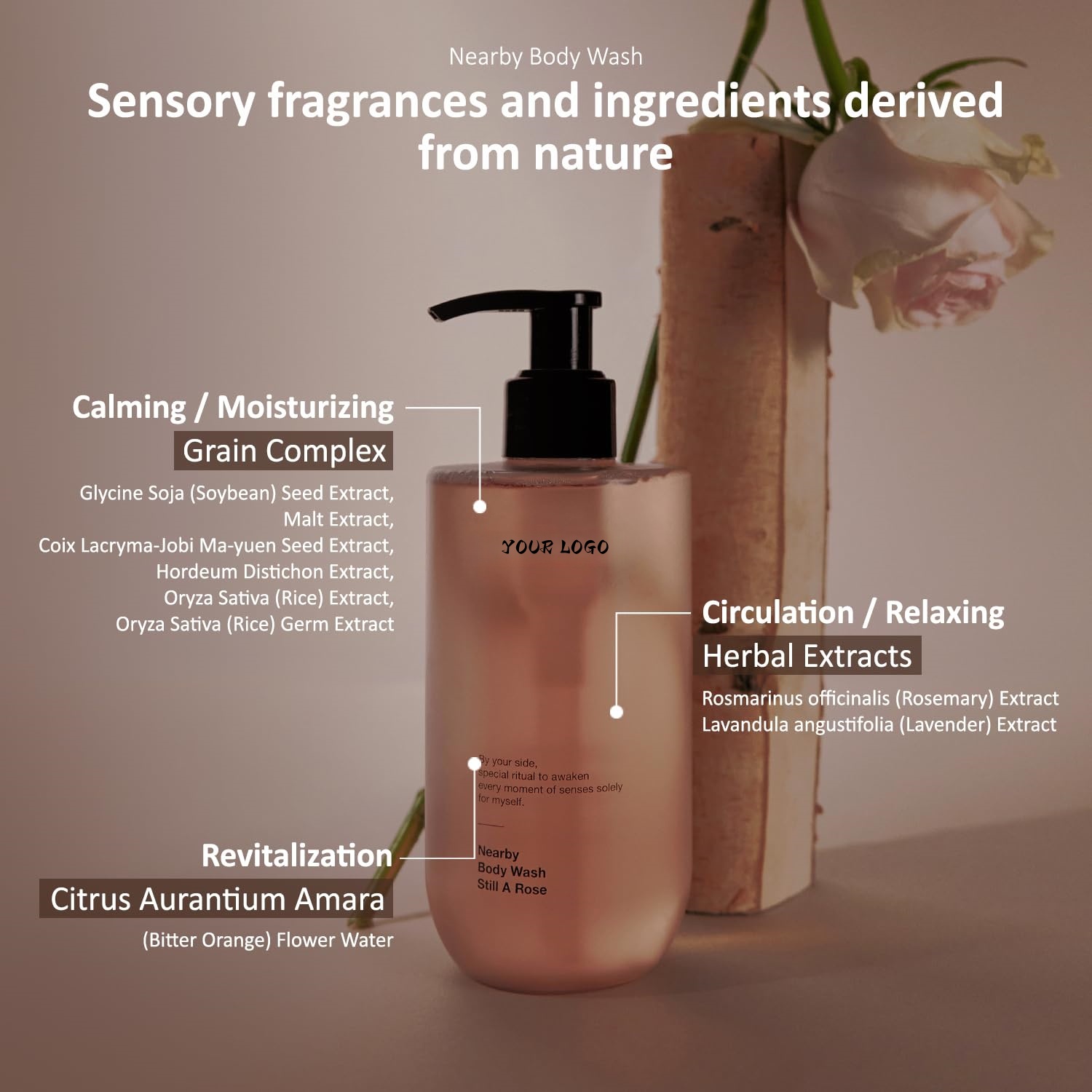 Body Care With Sensual Scents Vegan Body Wash 10.1 Fl Oz Moisturizing Soothing Cleanser For Dry Skin Scented Still A Rose
