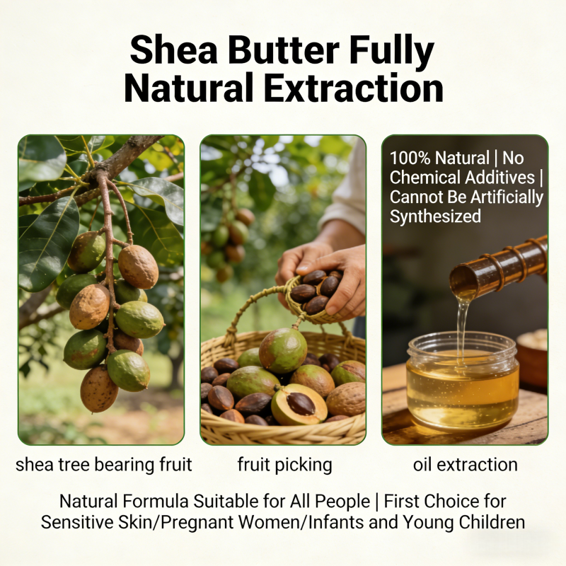 Oem Herbal Organic Shea Butter Nourishing Hand Cream-deep Moisturizing Lotion For Dry & Sensitive Skin Pregnant Women